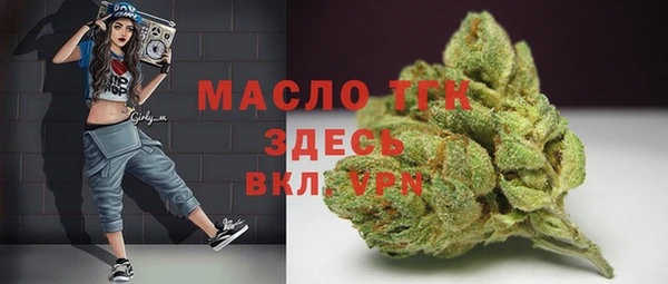 ECSTASY Богданович