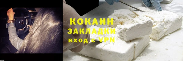 ECSTASY Богданович