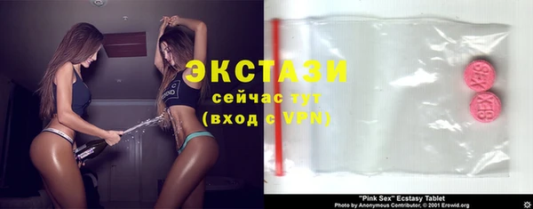 ECSTASY Богданович
