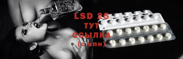 ECSTASY Богданович
