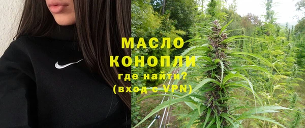 ECSTASY Богданович