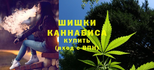 ECSTASY Богданович