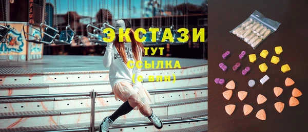 ECSTASY Богданович