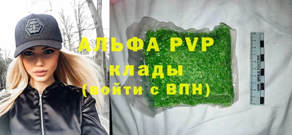 ECSTASY Богданович