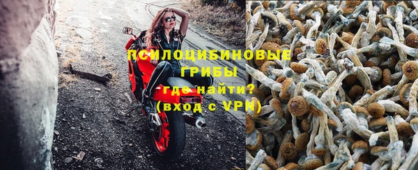 a pvp Богородск