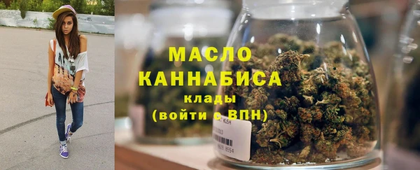 ECSTASY Богданович