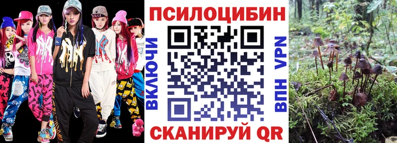 где купить наркоту  Ветлуга  Псилоцибиновые грибы Magic Shrooms 